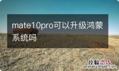 mate10pro可以升级鸿蒙系统吗