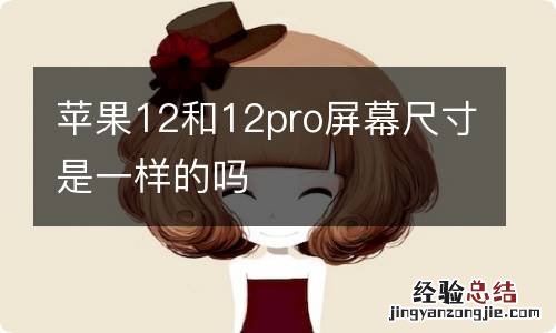 苹果12和12pro屏幕尺寸是一样的吗