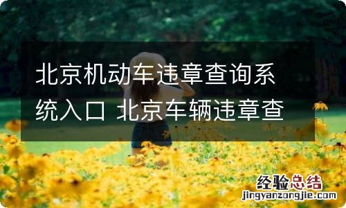 北京机动车违章查询系统入口 北京车辆违章查询在线查询