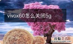 vivox60怎么关闭5g