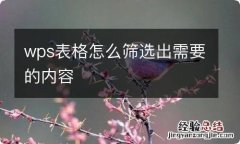 wps表格怎么筛选出需要的内容