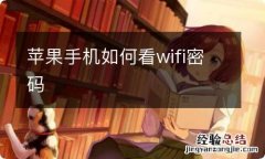 苹果手机如何看wifi密码