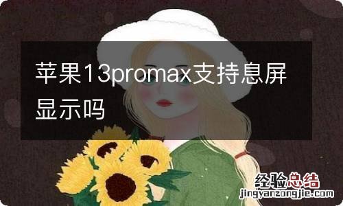 苹果13promax支持息屏显示吗