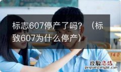 标致607为什么停产 标志607停产了吗？