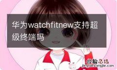 华为watchfitnew支持超级终端吗