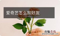 爱奇艺怎么加好友