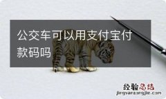 公交车可以用支付宝付款码吗