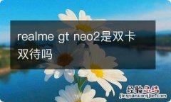 realme gt neo2是双卡双待吗