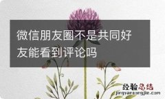 微信朋友圈不是共同好友能看到评论吗