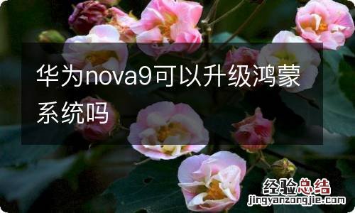 华为nova9可以升级鸿蒙系统吗