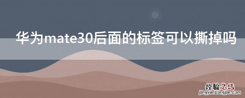 华为mate30后面的标签可以撕掉吗 华为mate30背后的标签可以撕掉吗