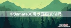 华为mate30可以面部识别支付吗 华为mate30可以面容支付吗