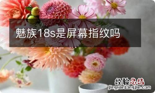 魅族18s是屏幕指纹吗