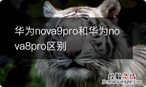 华为nova9pro和华为nova8pro区别