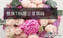 魅族18s是三星屏吗