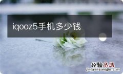 iqooz5手机多少钱