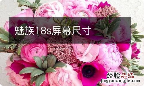 魅族18s屏幕尺寸