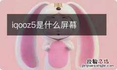 iqooz5是什么屏幕