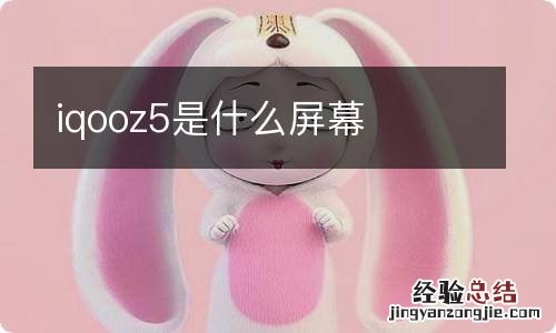 iqooz5是什么屏幕