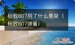 标致607弹簧 标致607用了什么悬架