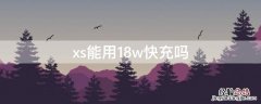 xs能用18w快充吗