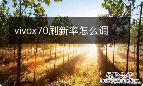 vivox70刷新率怎么调