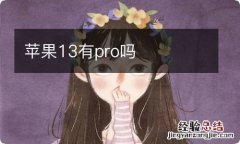 苹果13有pro吗