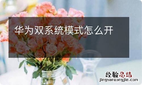 华为双系统模式怎么开