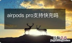 airpods pro支持快充吗