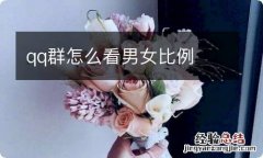 qq群怎么看男女比例