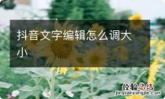 抖音文字编辑怎么调大小