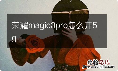 荣耀magic3pro怎么开5g
