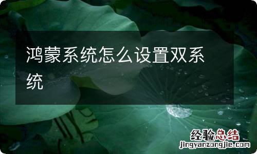 鸿蒙系统怎么设置双系统