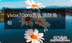 vivox70pro怎么消除角标