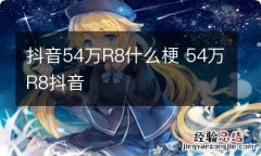 抖音54万R8什么梗 54万R8抖音