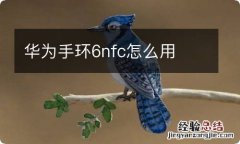 华为手环6nfc怎么用