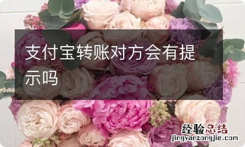 支付宝转账对方会有提示吗