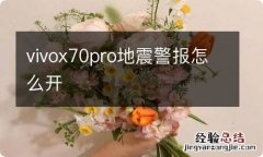 vivox70pro地震警报怎么开