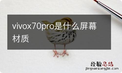 vivox70pro是什么屏幕材质