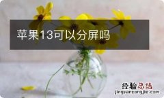 苹果13可以分屏吗