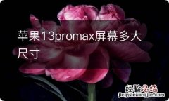 苹果13promax屏幕多大尺寸