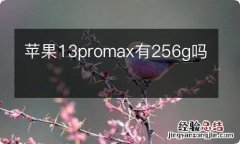 苹果13promax有256g吗