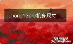 iphone13pro机身尺寸