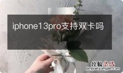 iphone13pro支持双卡吗