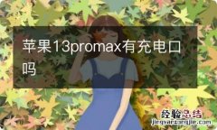 苹果13promax有充电口吗