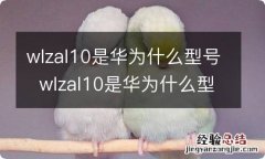 wlzal10是华为什么型号wlzal10是华为什么型号手机