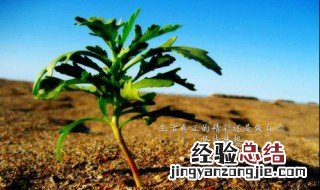 朋友圈励志正能量语录精选 朋友圈励志说说正能量简短