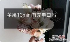 苹果13mini有充电口吗