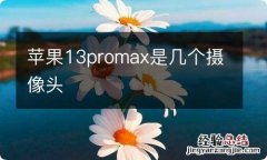 苹果13promax是几个摄像头