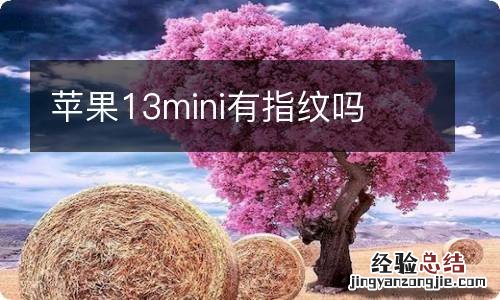 苹果13mini有指纹吗